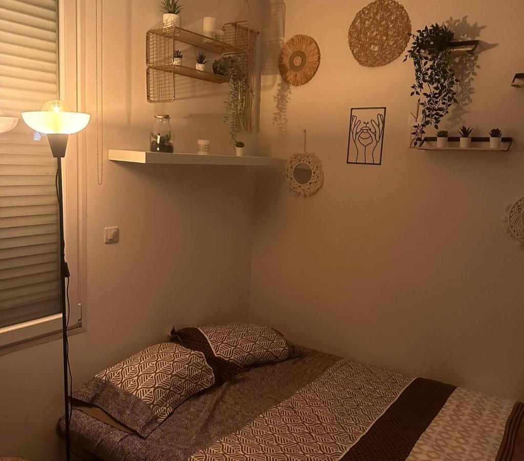 L'Oasis Cosy Villeurbanne Exterior foto